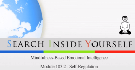 Meditatie zelfbewust emoties beheersen - Search Inside Yourself