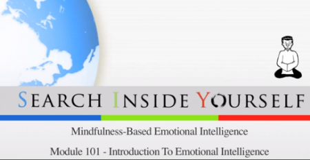 Introductie cursus mindfulness en emotionele intelligentie -Search Inside Yourself
